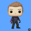 Deals β Funko POP!: Marvel - Hawkeye Toys & Figures π 1 Funko POP!: Marvel - Hawkeye Toys & Figures