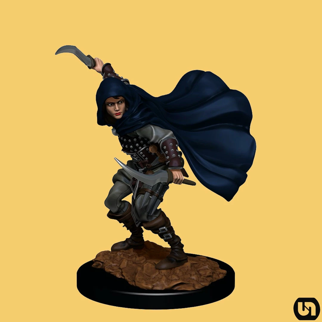 Wholesale π€© Wizkids Miniatures Pathfinder: Battles Deep Cuts Wave 14 - Female Human Rogue β 3 Wizkids Miniatures Pathfinder: Battles Deep Cuts Wave 14 - Female Human Rogue