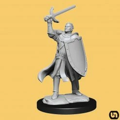 Wizkids Dungeons & Dragons: Nolzur's Marvelous Miniatures Wave 14 - Half-Elf Paladin
