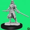 Wizkids Dungeons & Dragons: Nolzur's Marvelous Miniatures Wave 14 - Half-Elf Rogue Female