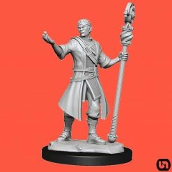 Wizkids Dungeons & Dragons: Nolzur's Marvelous Miniatures Wave 14 - Half-Elf Wizard Male