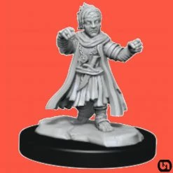 Wizkids Pathfinder: Battles Deep Cuts Wave 15 - Male Halfling Monk Miniatures