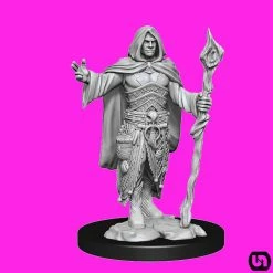 Wizkids Dungeons & Dragons: Nolzur's Marvelous Miniatures Wave 14 - Human Druid Male