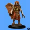 Discount ✨ Wizkids Dungeons & Dragons: Icons Of The Realms Premium Miniatures - Human Druid Male ⌛ 2 Wizkids Dungeons & Dragons: Icons Of The Realms Premium Miniatures - Human Druid Male