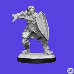 Wizkids Dungeons & Dragons: Nolzur's Marvelous Miniatures Wave 14 - Human Paladin Male