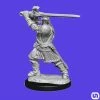 Wizkids Dungeons & Dragons: Nolzur's Marvelous Miniatures Wave 14 - Human Paladin Male