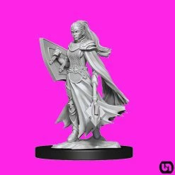 Wizkids Dungeons & Dragons: Nolzur's Marvelous Miniatures Wave 14 - Kalashtar Cleric