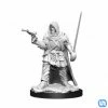 Wizkids Pathfinder: Battles Deep Cuts Wave 13 - Male Human Rogue