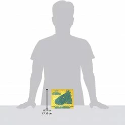 Pokemon TCG Sword & Shield Rebel Clash Elite Trainer Box