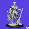 Budget β€οΈ Wizkids Dungeons & Dragons: Nolzur's Marvelous Miniatures Wave 14 - Tiefling Bard Female π― 2 Wizkids Dungeons & Dragons: Nolzur's Marvelous Miniatures Wave 14 - Tiefling Bard Female