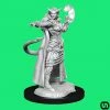 Wizkids Dungeons & Dragons: Nolzur's Marvelous Miniatures Wave 15 - Tiefling Sorcerer