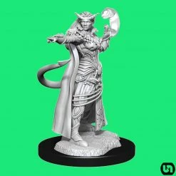 Wizkids Dungeons & Dragons: Nolzur's Marvelous Miniatures Wave 15 - Tiefling Sorcerer