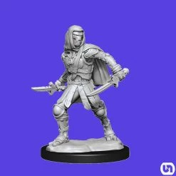 Wizkids Dungeons & Dragons: Nolzur's Marvelous Miniatures Wave 14 - Warforged Rogue